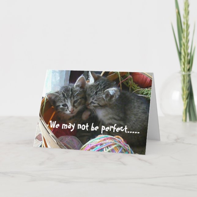 Kitten Anniversary Card (Front)