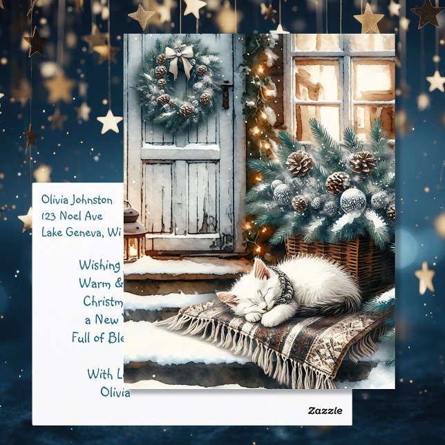 Kitten Asleep on Festive Front Porch Christmas Postcard (Creator Uploaded)