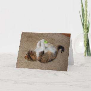 Kitten at Play with Tennis Ball Card
