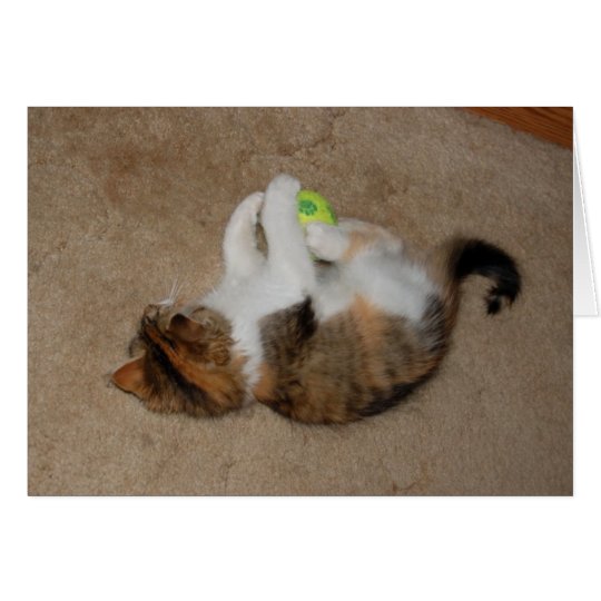 Kitten at Play with Tennis Ball Card
