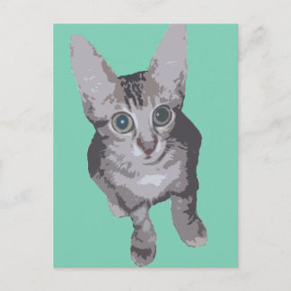 Kitten Big Eyes Pop Art Postcard
