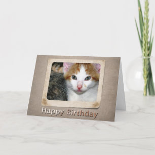 Kitten Birthday Card