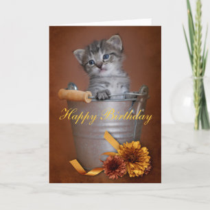 Kitten Birthday Card