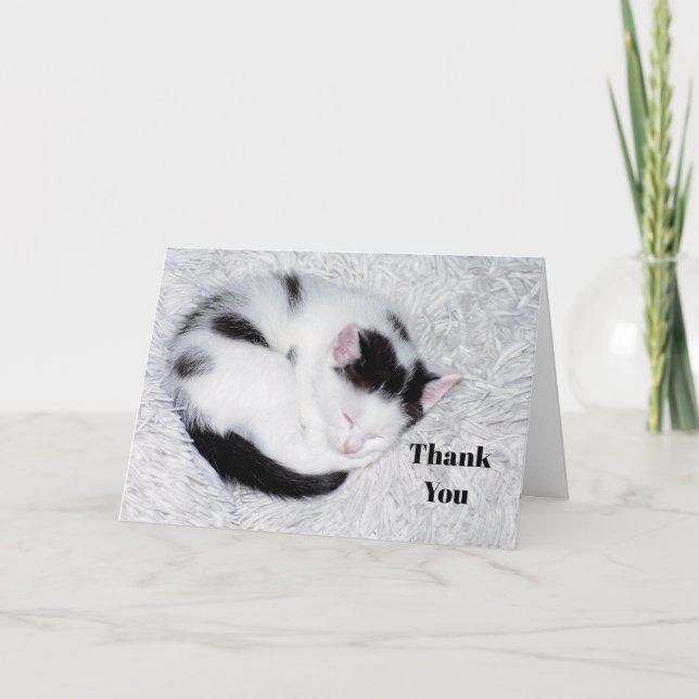 Kitten Black and White Sleeping Photo Thank You Card (Front)