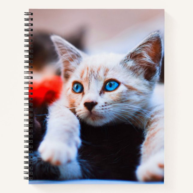 Kitten Blue Eyed Adorable Cute Cat Notebook (Front)
