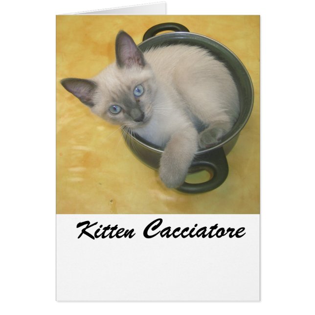Kitten Cacciatore (Front)