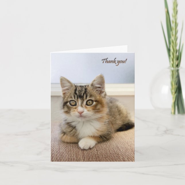 Kitten Card (Front)