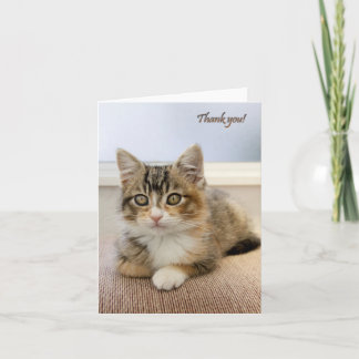 Kitten Card