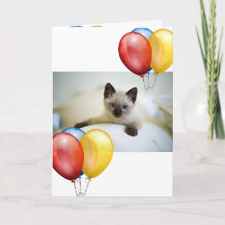 Kitten card
