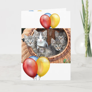 Kitten card