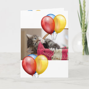 Kitten card
