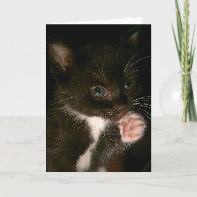 Kitten Card (Front)