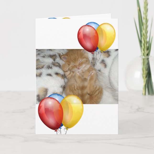 Kitten  card (Front)