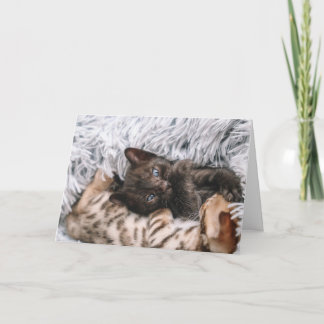 Kitten Card