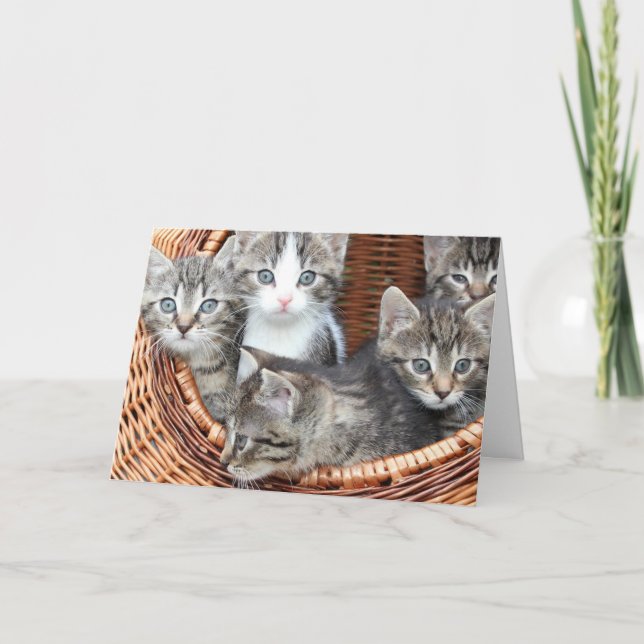 Kitten Card (Front)
