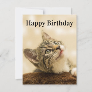 Kitten Card Edit Title
