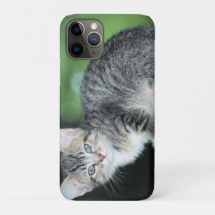 Kitten iPhone 11 Pro Case
