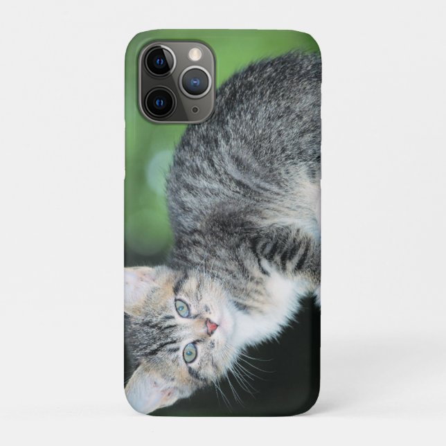 Kitten Case-Mate iPhone Case (Back)