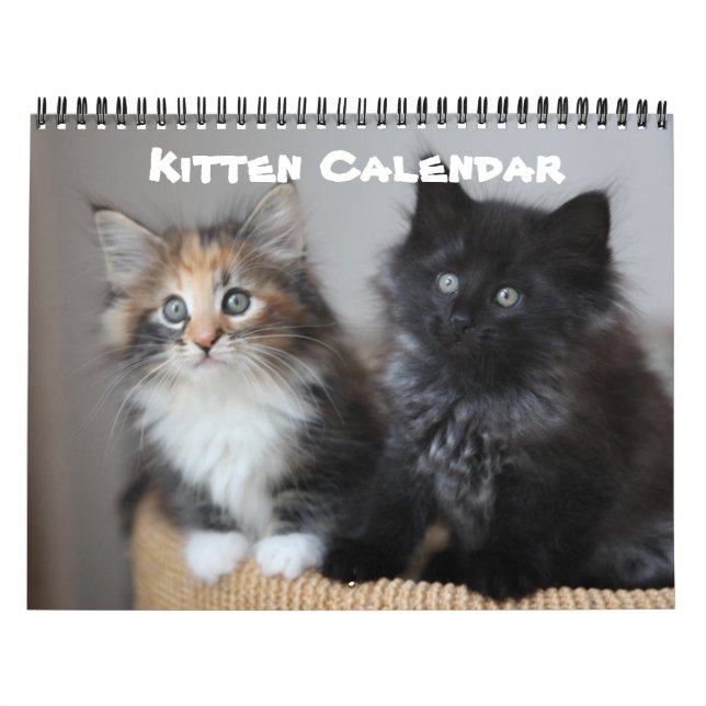 Kitten Cat Cats Baby Cub Home Destiny Destiny'S Calendar (Cover)