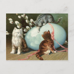 Kitten Cat Easter Coloured Painted Egg Holiday Postcard