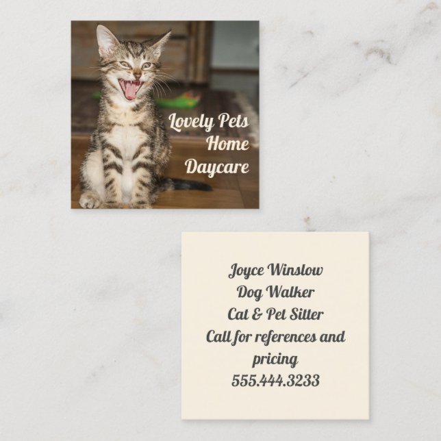 Kitten Cat Pet Sitter Square Business Cards (Front/Back)