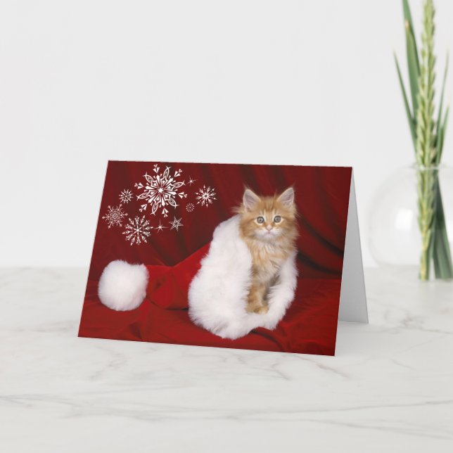 Kitten Christmas Card (Front)