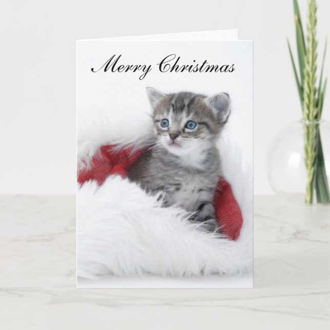 Kitten Christmas Card (Front)