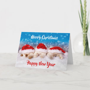 Kitten Christmas Cards BULK Christmas Cards or One