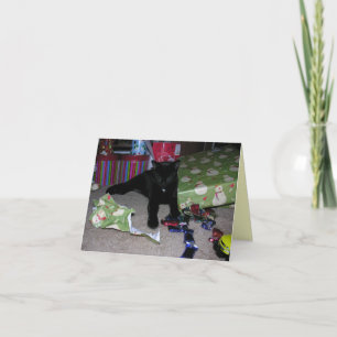 Kitten Christmas Holiday Card