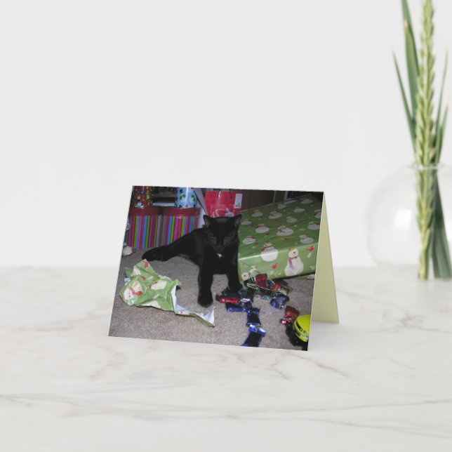 Kitten Christmas Holiday Card (Front)