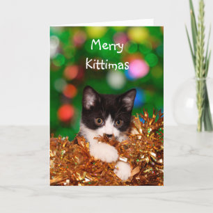 Kitten Christmas Holiday Card