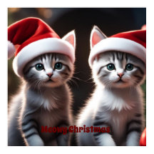 Kitten Christmas