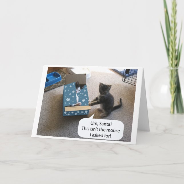 Kitten Christmas Surprise (blank inside) card (Front)