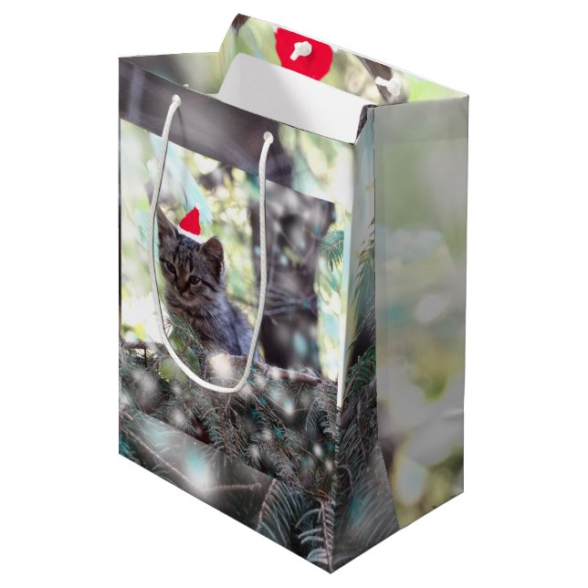 Kitten Christmas time Gift Bag - Medium, Matte (Front Angled)