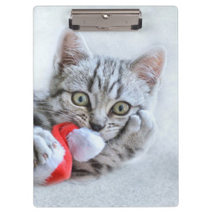 Kitten Clipboard