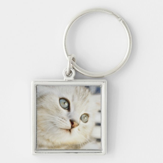 Kitten, close-up 2 key ring (Front)