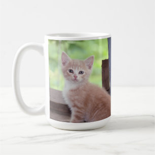 Kitten  coffee mug