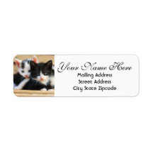 Kitten Couple Return Address