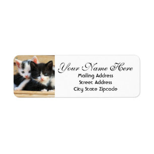Kitten Couple Return Address