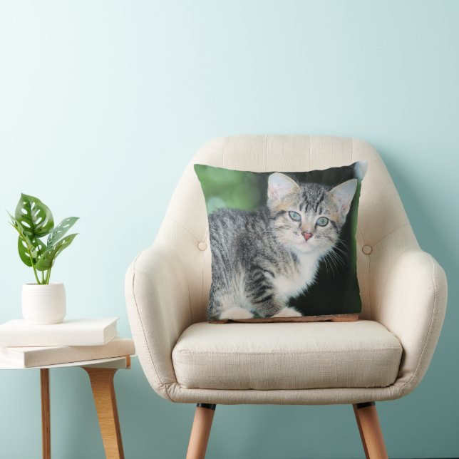 Kitten Cushion (Chair)