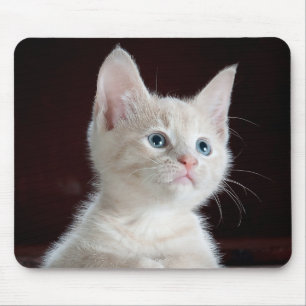 Kitten Cutie Mouse Mat