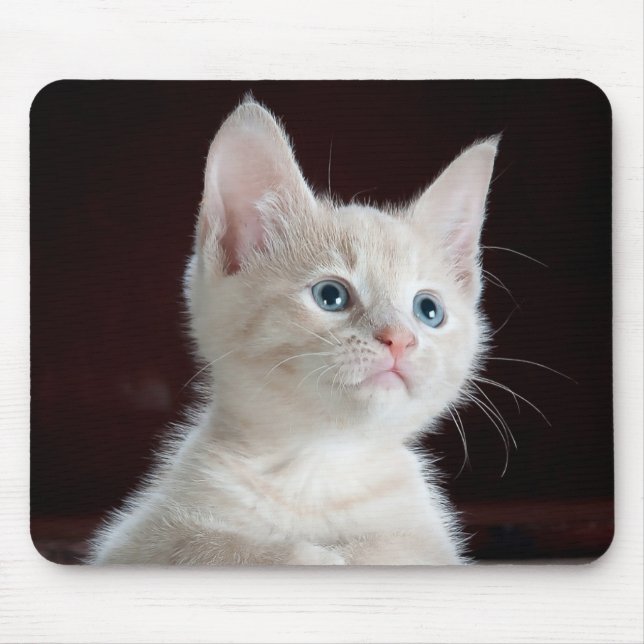 Kitten Cutie Mouse Mat (Front)