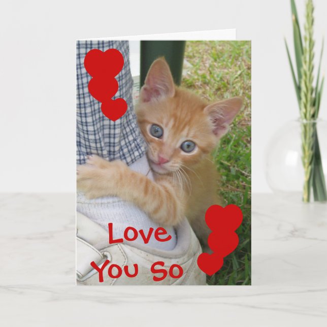 Kitten Dax Love Card (Front)