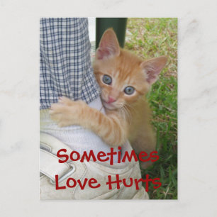 Kitten Dax Love Hurts Postcard