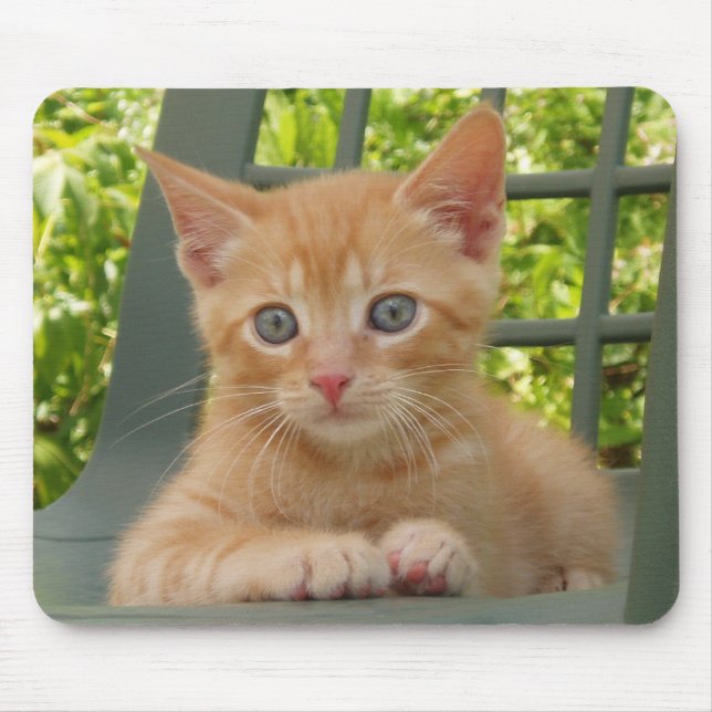 Kitten Dax Mousepad (Front)
