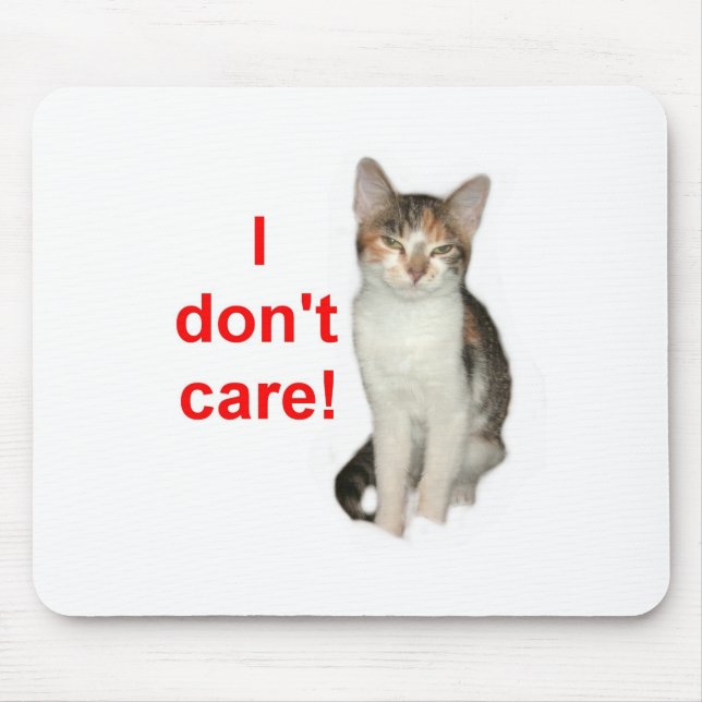 Kitten Doesnt Care Mouse Mat (Front)