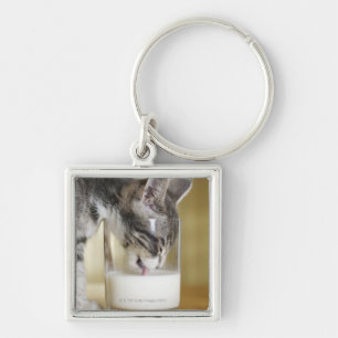 Kitten drinking milk from glass key ring