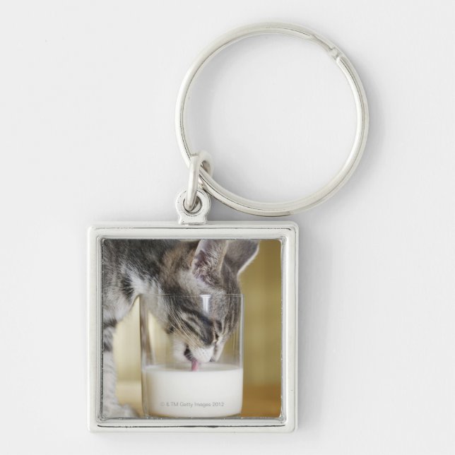 Kitten drinking milk from glass key ring (Front)