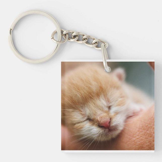 Kitten, Feline, Nature Key Ring (Front)