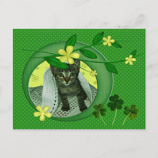 Kitten, Flowers, Shamrocks & Green Polka Dots Postcard (Front)